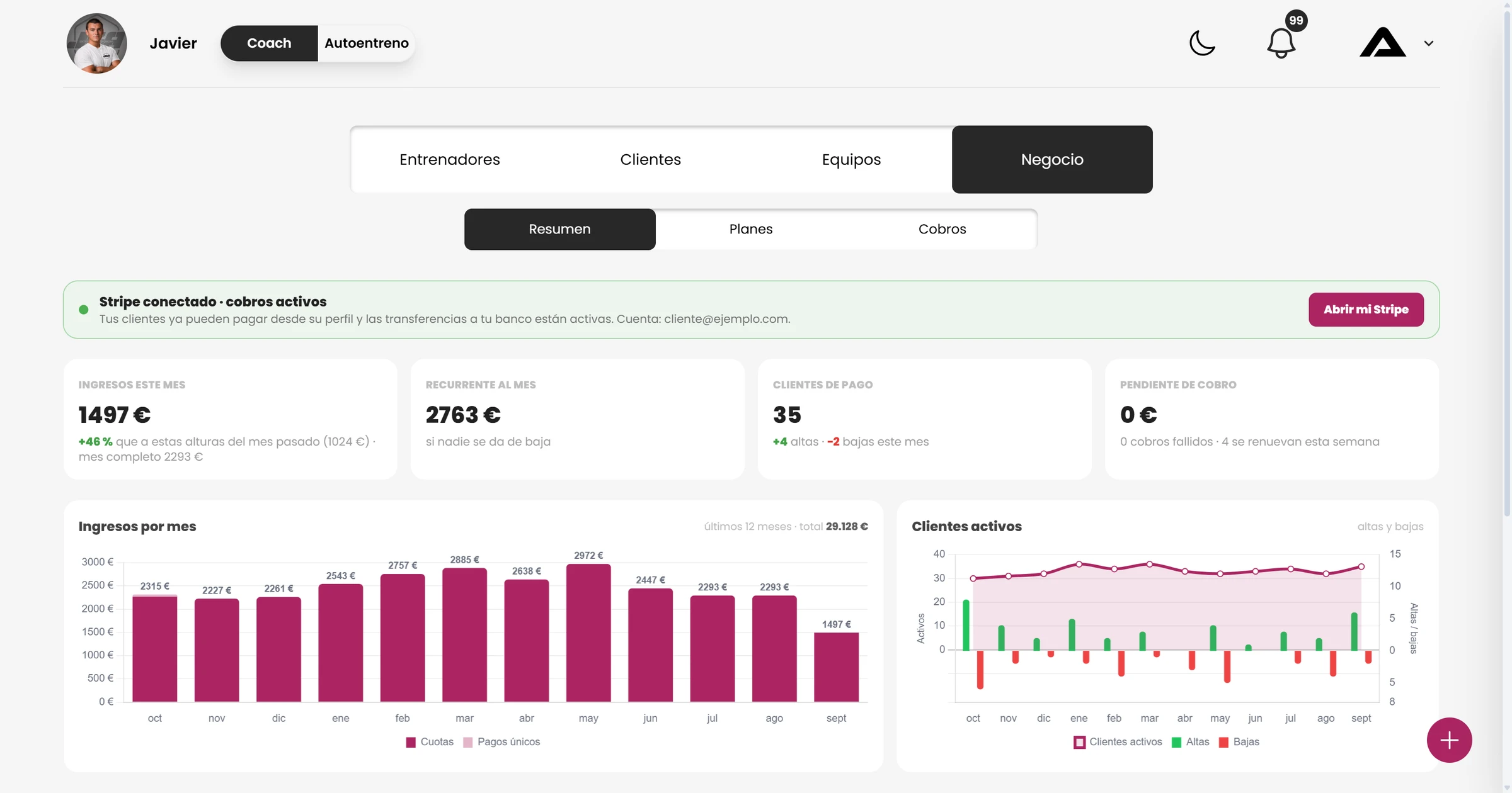 Resumen de negocio con ingresos por mes y clientes activos